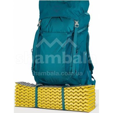 Рюкзак Osprey Ace 65, Blue Spikemoss/Deep Peyto, O/S (843820196535)