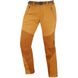 Штаны мужские Montane Terra Pants Regular, Inca Gold, L (5056237067403)