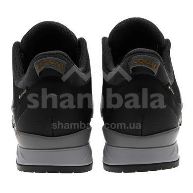 Кросівки трекінгові чоловічі LOWA Carezza GTX, Anthracite/Bronze, 42 (LW 210065-7945-42)