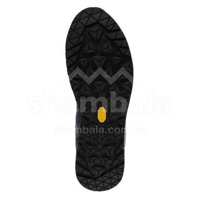 Кросівки трекінгові чоловічі LOWA Carezza GTX, Anthracite/Bronze, 42 (LW 210065-7945-42)