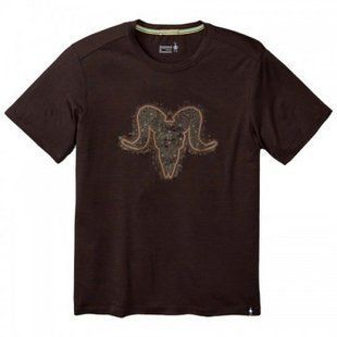 Футболка чоловіча Smartwool Merino 150 Aires Tee Sumatra Brown, р. L (SW 16078.893-L)