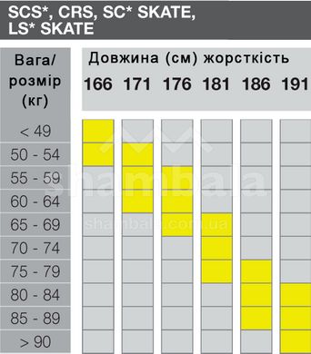 Лижі бігові Fischer, Race, SC Skate / BDG Race Skate IFP, 181, 41-44-44 (NP27019)