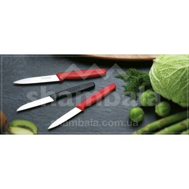 Нож для овощей Victorinox Standard Paring 5.0701 (лезвие 110мм)