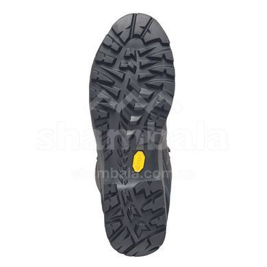 Черевики Scarpa R-Evolution GTX, Titanium/Lake, 44 1/2 (SCRP 60257-201 44,5 TITANIUM)