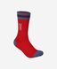 Носки велосипедные POC Essential Mid Length Sock,Calcite Blue/Prismane Red, L (PC 651338282LRG1)