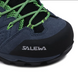 Полуботинки мужские Salewa Men's ALP Mate MID Waterproof, 43 Blue (WP 61384.3862-43)