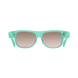 Солнцезащитные очки POC Want Fluorite Green (PC WANT70121437BSM1)