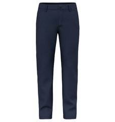 Штаны мужские Salewa Fanes Hemp Pant M, Blue navy blazer, 50/L (28690/3960 50/L)