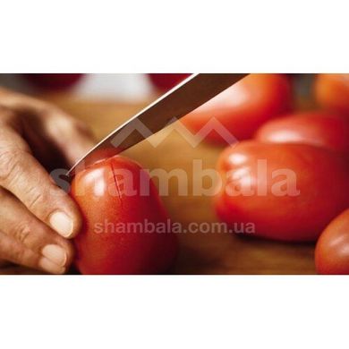 Нож для овощей Victorinox Standard Paring 5.0702 (лезвие 110мм)