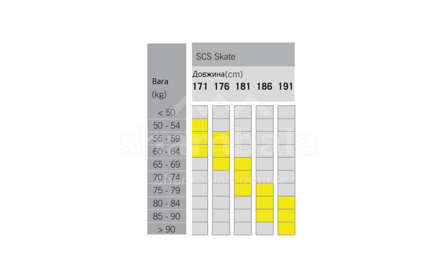 Лыжи беговые Fischer, Race, SCS Skate IFP, 176, 41-44-44 (N24019)