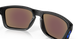 Очки Oakley Holbrook, Prizmatic Collection, Matte Black Prizmatic/Prizm Sapphire, Polarized (OAK 9102.H055)