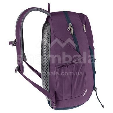 Рюкзак Deuter Gogo 25 L, Plum/Ink (DTR 3813221.5334)