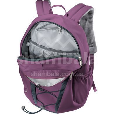 Рюкзак Deuter Gogo 25 L, Plum/Ink (DTR 3813221.5334)