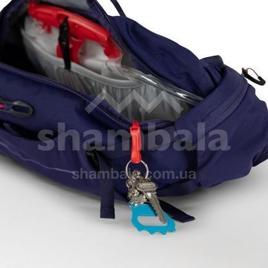Поясна сумка жіноча Osprey Raven 4, Deep Fig, O/S (843820199727)