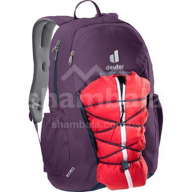 Рюкзак Deuter Gogo 25 L, Plum/Ink (DTR 3813221.5334)