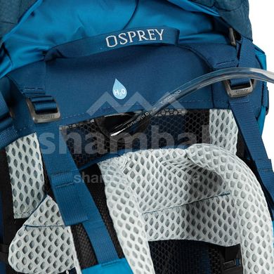 Рюкзак женский Osprey Aura AG LT 50 Koseret/Darjeeling Spring Green, WXS/S (009.3294)