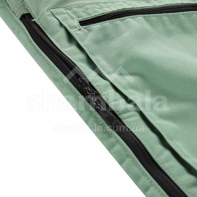 Штани чоловічі Alpine Pro ZARM, Green, 48 (MPAB592722 48)