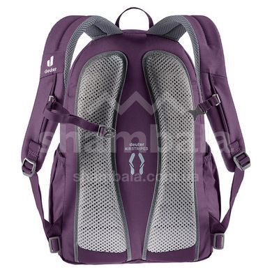 Рюкзак Deuter Gogo 25 L, Plum/Ink (DTR 3813221.5334)