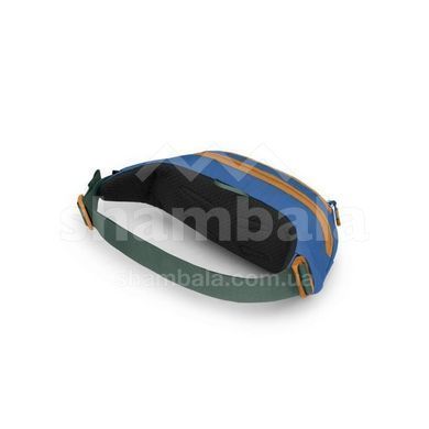 Поясна сумка Osprey Daylite Waist Earth, dark charcoal/blue flame, O/S (10006636)