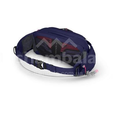 Поясна сумка жіноча Osprey Raven 4, Deep Fig, O/S (843820199727)