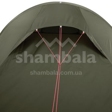 Палатка двухместная MSR Tindheim 2, Green (0040818108321)