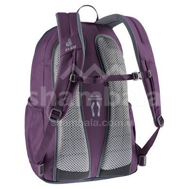 Рюкзак Deuter Gogo 25 L, Plum/Ink (DTR 3813221.5334)