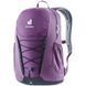 Рюкзак Deuter Gogo 25 L, Plum/Ink (DTR 3813221.5334)