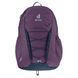 Рюкзак Deuter Gogo 25 L, Plum/Ink (DTR 3813221.5334)