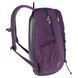 Рюкзак Deuter Gogo 25 L, Plum/Ink (DTR 3813221.5334)