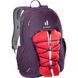 Рюкзак Deuter Gogo 25 L, Plum/Ink (DTR 3813221.5334)