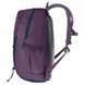 Рюкзак Deuter Gogo 25 L, Plum/Ink (DTR 3813221.5334)