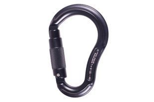 Карабін First Ascent PLUM, Black (FA 7020 00)