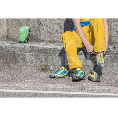 Скальные туфли La Sportiva Speedster, Lime/Yellow, р.39 (LS 860-39)