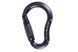 Карабин First Ascent PLUM, Black (FA 7020 00)