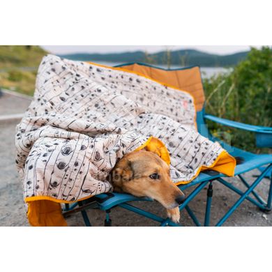 Одеяло Kelty Bestie Blanket, Sunflower/Aspen Eyes (KLT 35416121.SF)
