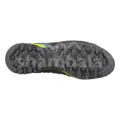 Ботинки мужские Salewa Wildfire Edge Mid Gore-Tex Men's Shoes, Poseidon/Cactus, 42 (SLW 61350.8971)