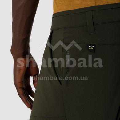 Штаны мужские Salewa Puez DST M Cargo Pants, Green dark olive, 46/S (28310/5280 46/S)