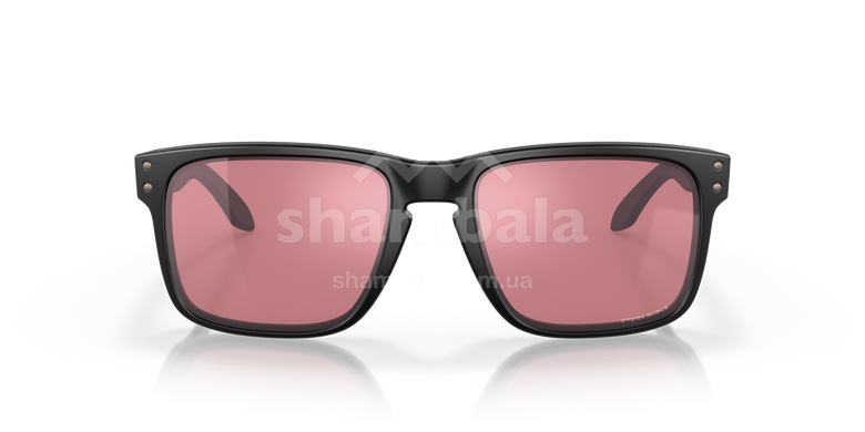 Очки Oakley Holbrook, Matte Black/Prizm Dark Golf (OAK 9102.K055)