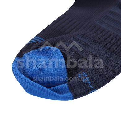 Шкарпетки Alpine Pro NIELE, blue, L (USCY085691 L)