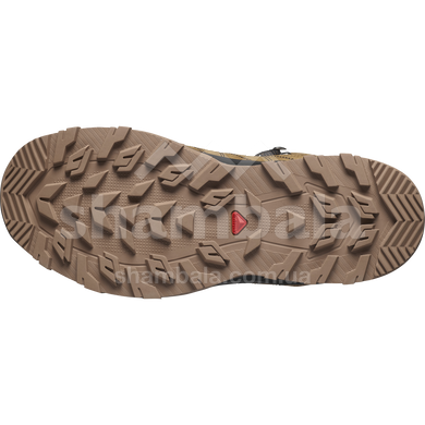 Мужские зимние ботинки Salomon Outchill TS WP, Rubber/Black/Magnet, 44 2/3 (SLM s473819-10)