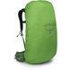 Рюкзак Osprey Stratos 44, Seaweed/Matcha Green, O/S (843820177398)