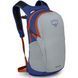 Рюкзак Osprey Daylite 13 Silver Lining/Blueberry, O/S (009.3396)
