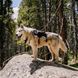 Рюкзак для собак Ultimate Direction Dog Vest V2, onyx, L (054003855310)