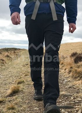 Штаны мужские Montane Terra Stretch Pants Long, Black, S (5056237005634)