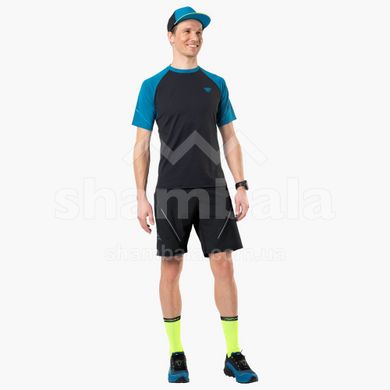 Шорти чоловічі Dynafit Alpine 2 M Shorts, black, 46/S (711600911)
