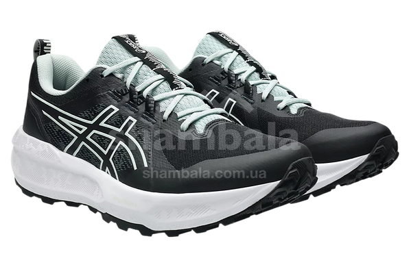 Кроссовки мужские Asics GEL-SONOMA 8, BLACK/LAKE GREY, 11 (1011B979-001)