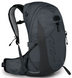 Рюкзак Osprey Talon 22 (2024), Eclipse Grey, L/XL (843820107395)
