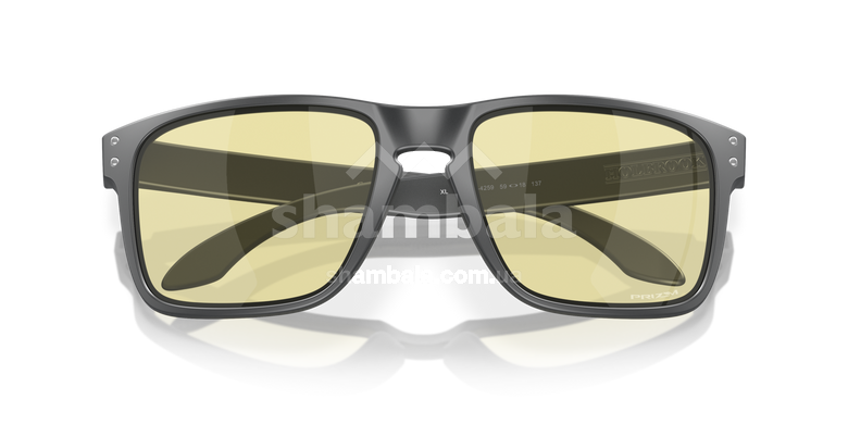 Очки Oakley Holbrook XL, Gaming Collection, Matte Carbon/Prizm Gaming (OAK 9417.4259)