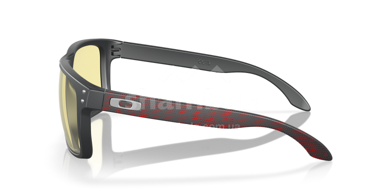 Очки Oakley Holbrook XL, Gaming Collection, Matte Carbon/Prizm Gaming (OAK 9417.4259)
