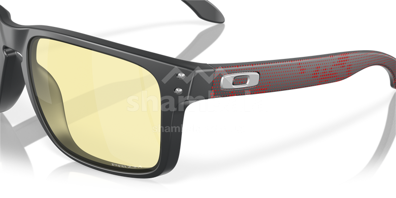 Очки Oakley Holbrook XL, Gaming Collection, Matte Carbon/Prizm Gaming (OAK 9417.4259)